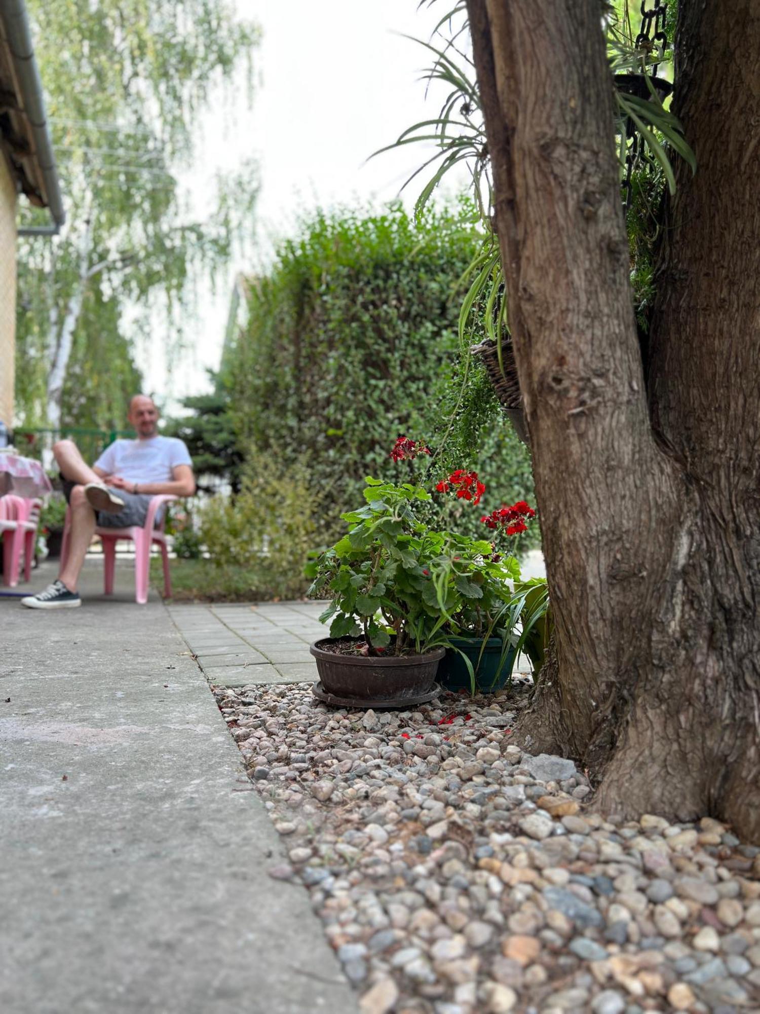 Bezdan Guesthouse Екстериор снимка